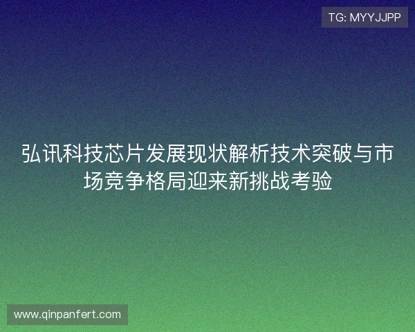弘讯科技芯片发展现状解析技术突破与市场竞争格局迎来新挑战考验